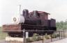 shay01.jpg